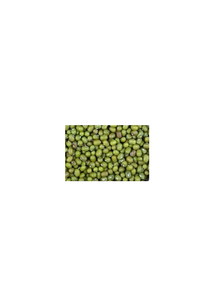 Spicy World Moong Whole (Mung Beans) - 4 Pounds - Image 4